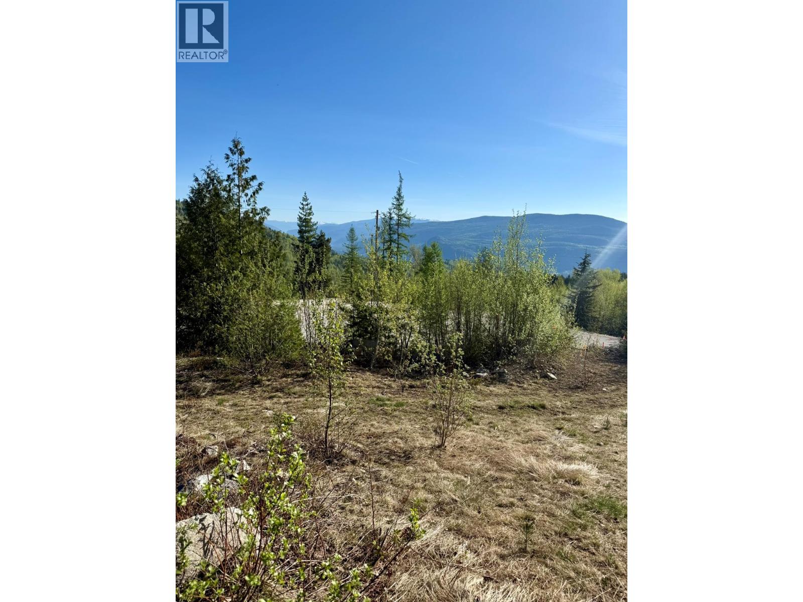 Lot C Richie Road, Rossland, British Columbia V0G 1Y0 - Photo 7 - 10396602