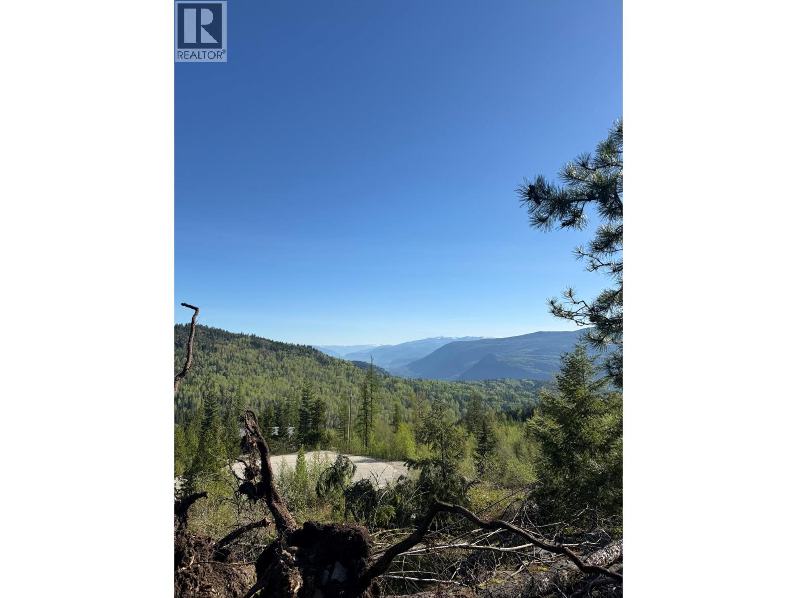 Lot C Richie Road, Rossland, British Columbia V0G 1Y0 - Photo 8 - 10396602