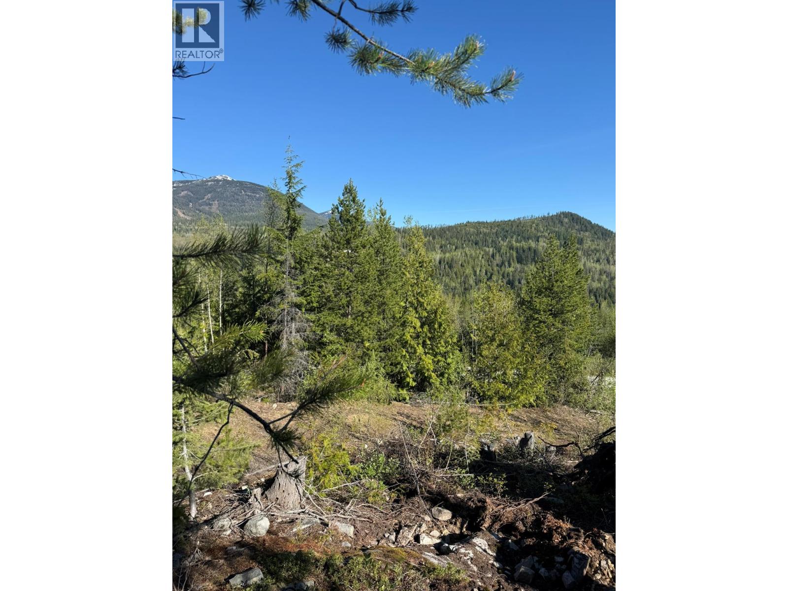 Lot C Richie Road, Rossland, British Columbia V0G 1Y0 - Photo 9 - 10396602