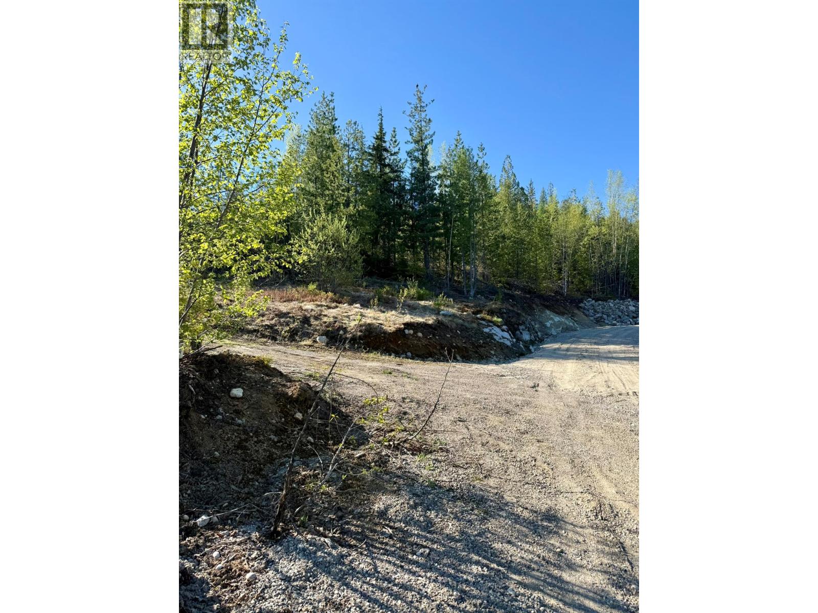 311 Richie Road, Rossland, British Columbia  V0G 1Y0 - Photo 7 - 10395159