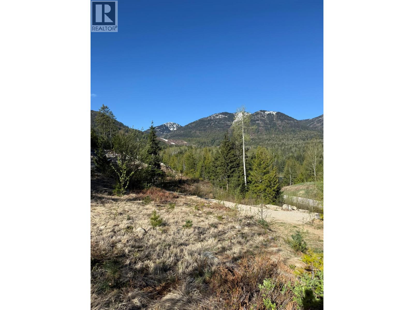311 Richie Road, Rossland, British Columbia  V0G 1Y0 - Photo 8 - 10395159