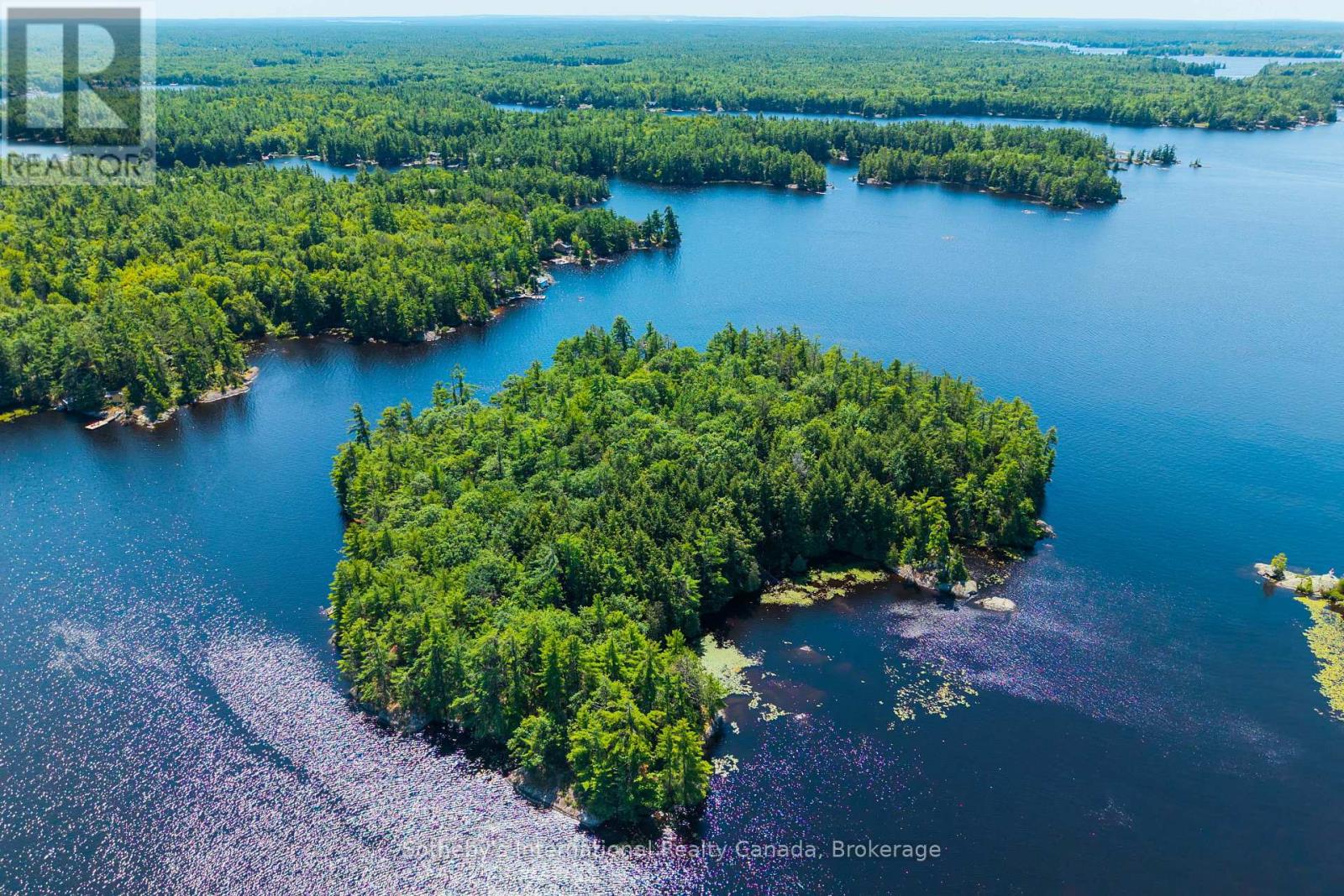 1 Island 29kl Kahshe Lake - Cooee Island, Gravenhurst (Morrison), Ontario  P0E 1G0 - Photo 46 - X13627792