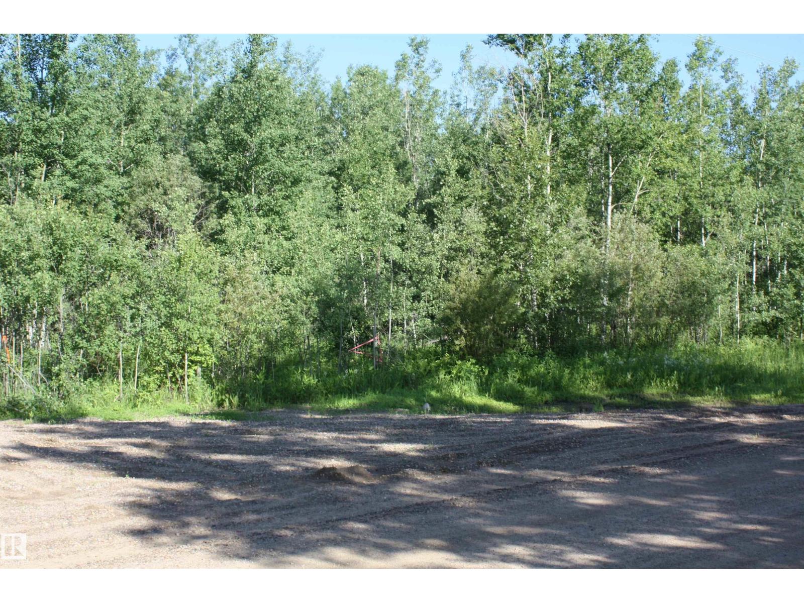 Twp 655 Rr 185, Rural Athabasca County, Alberta  T0A 0M0 - Photo 5 - E4483198