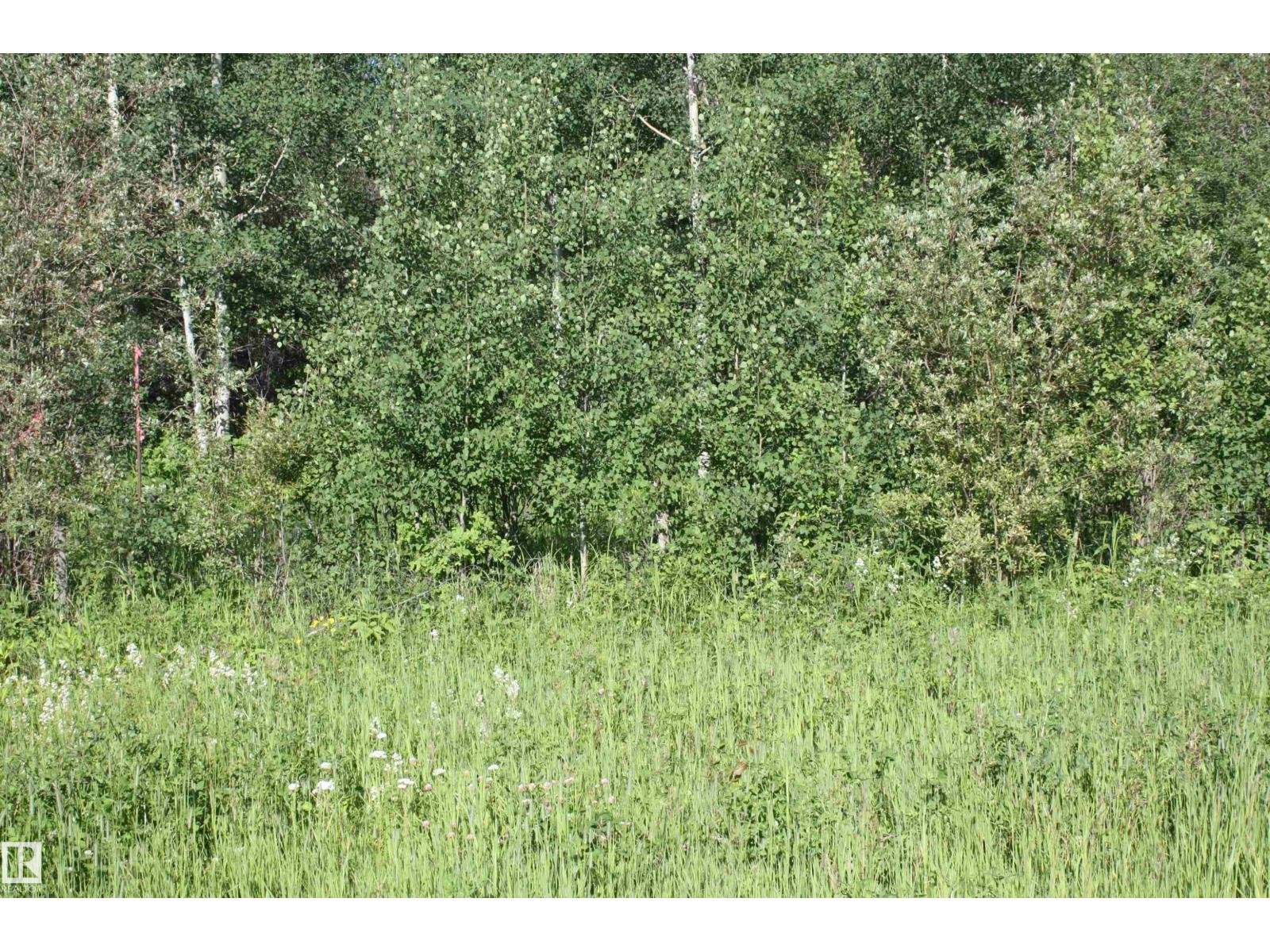 Twp 655 Rr 185, Rural Athabasca County, Alberta  T0A 0M0 - Photo 12 - E4483198