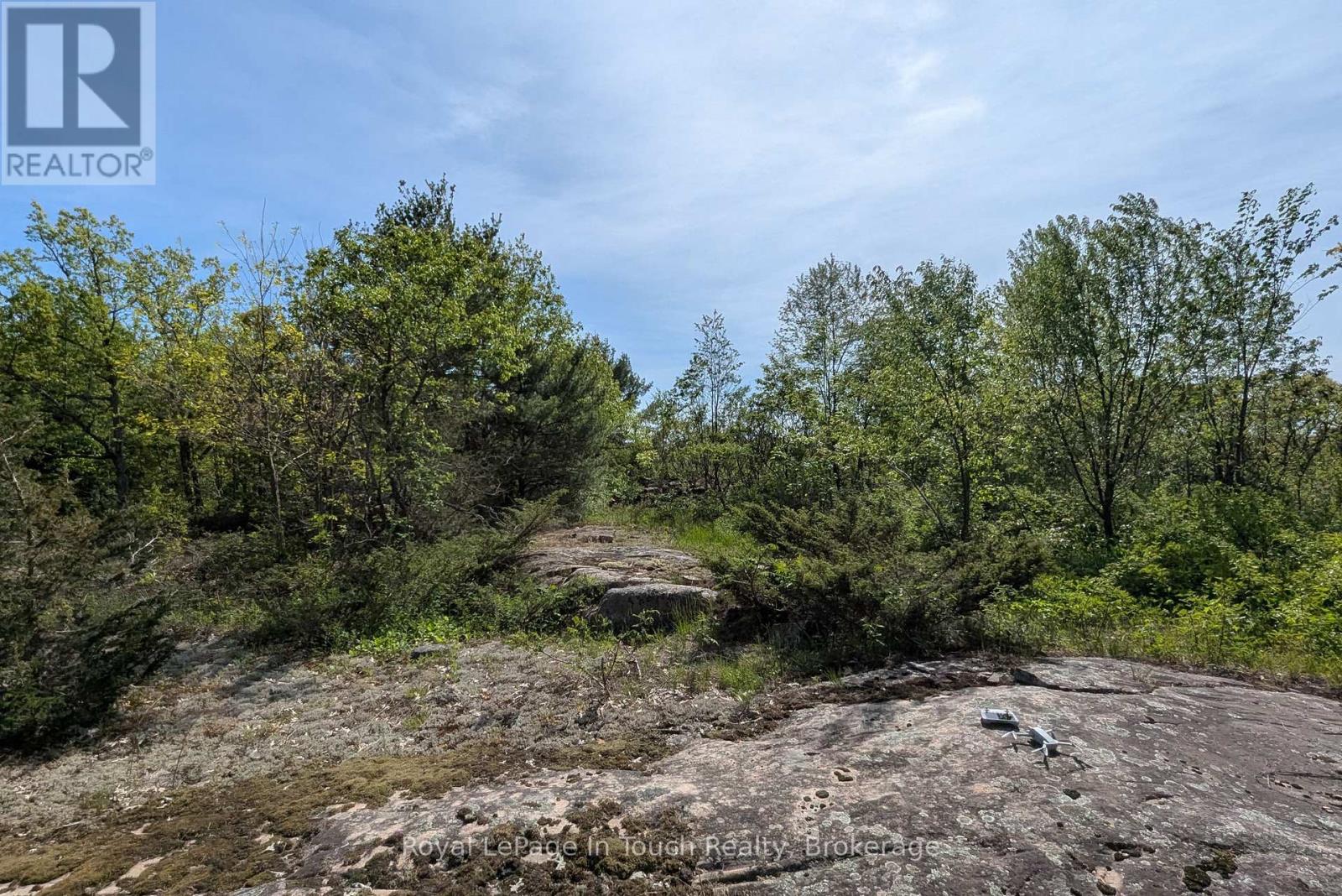 446 South Bay Road, Georgian Bay, Ontario  L0K 1S0 - Photo 10 - X13622700