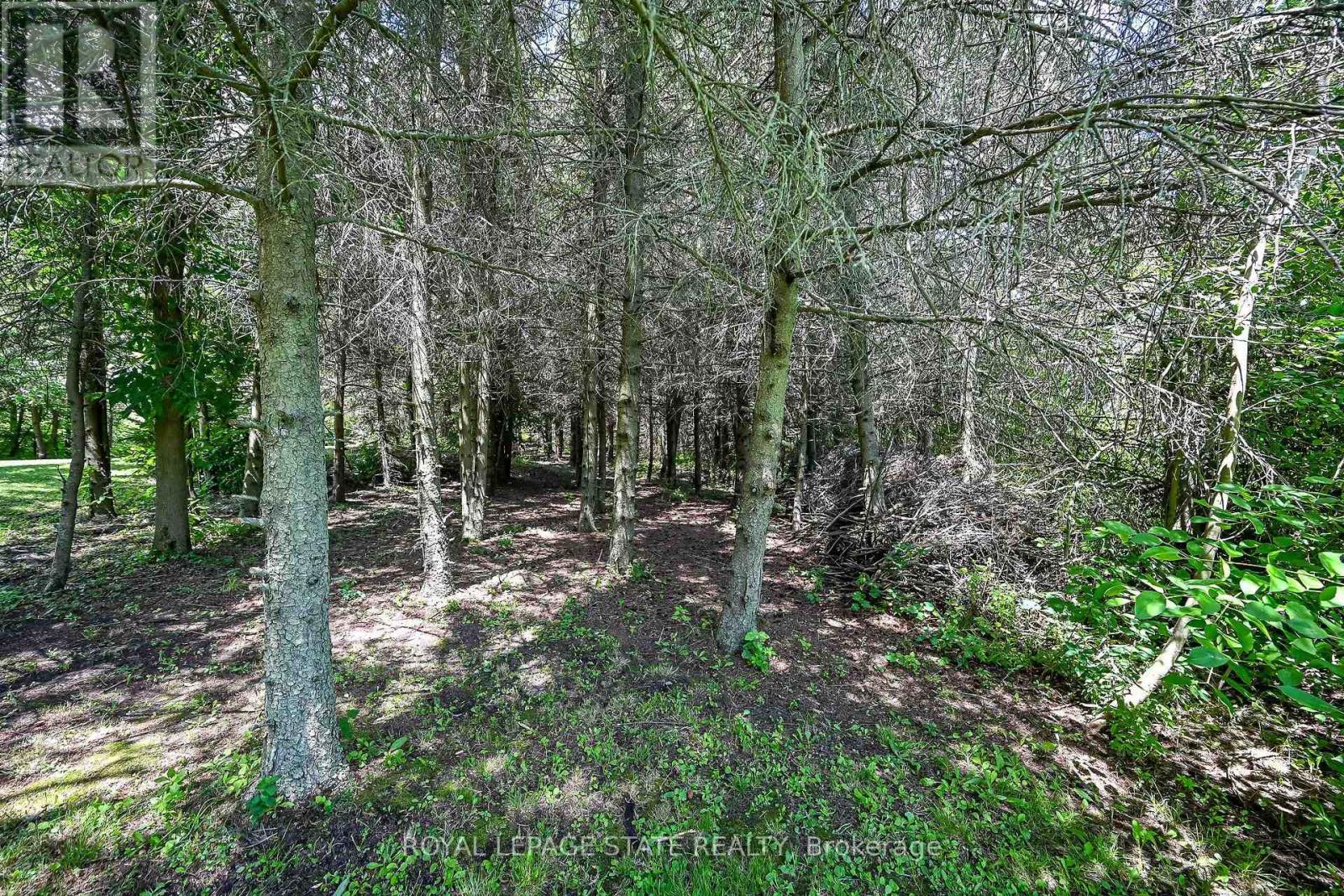741 South Coast Drive, Haldimand, Ontario  N0A 1L0 - Photo 42 - X13627830
