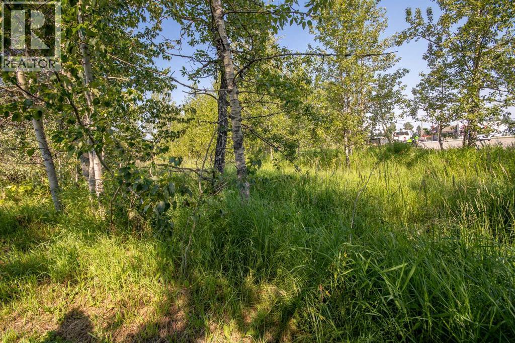 550 4 Avenue SW, Sundre, Alberta  T0M 1X0 - Photo 6 - A2333059