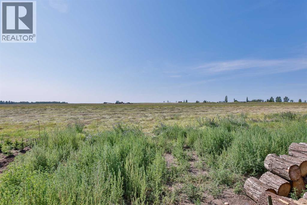 425 Cottonwood Drive, Vulcan, Alberta  T0L 2B0 - Photo 6 - A2333580