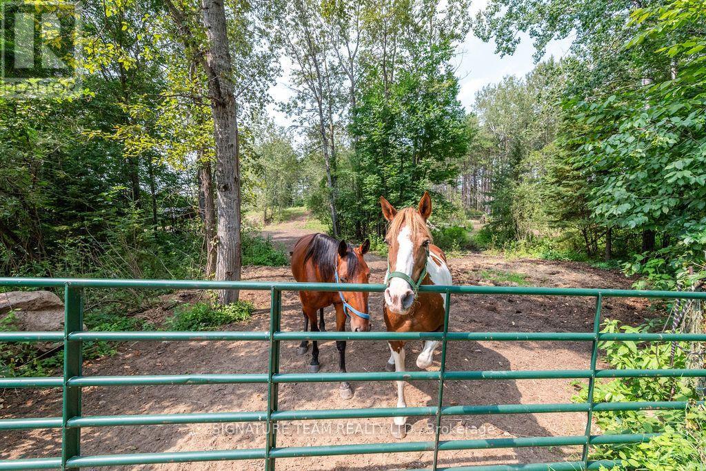 538 Lenser Road, Bonnechere Valley, Ontario  K0J 1T0 - Photo 34 - X13628140
