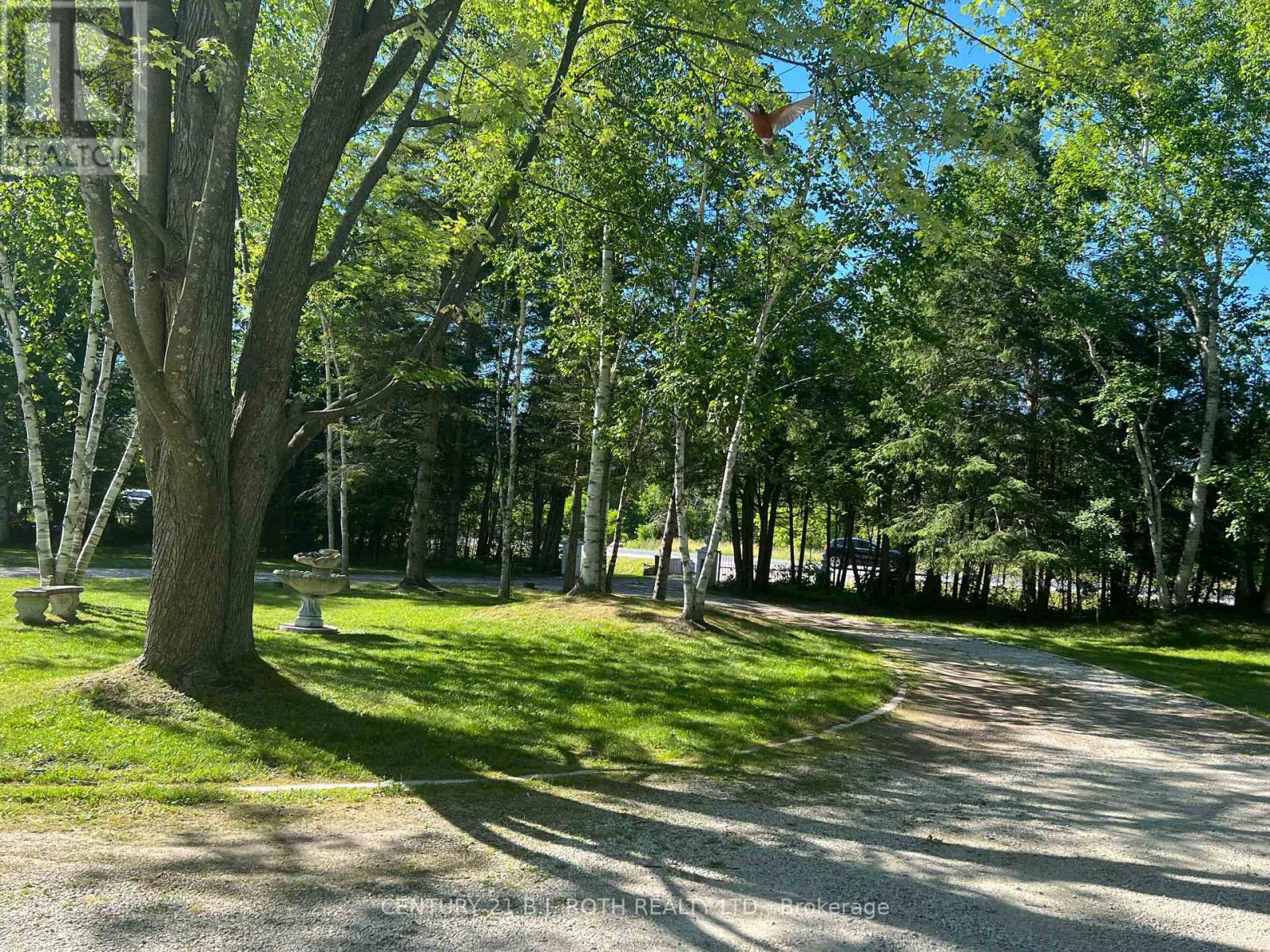209846 26 Highway, Blue Mountains, Ontario  L9Y 0L1 - Photo 5 - X13628170