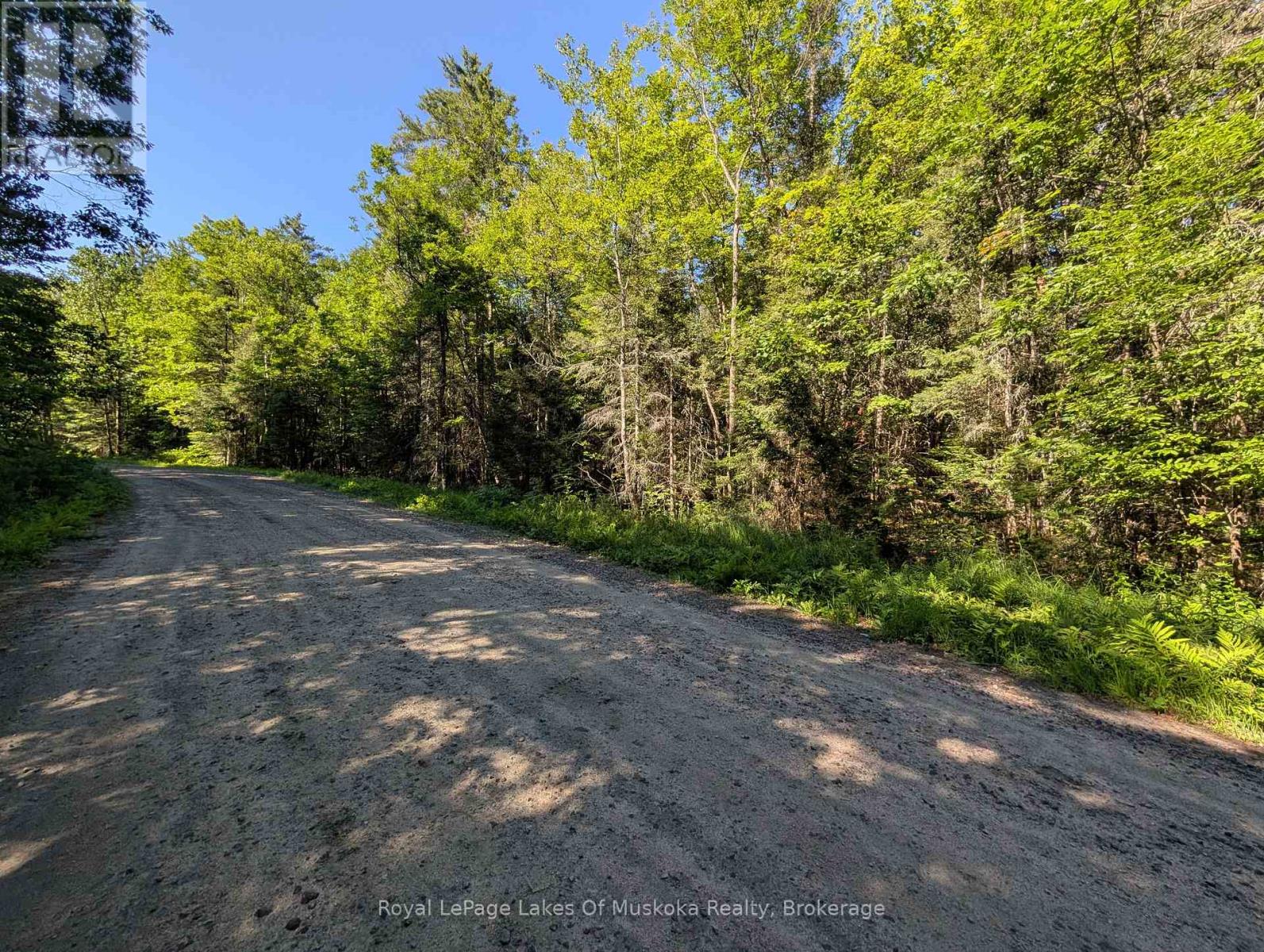 827 Nipissing Road N, Magnetawan, Ontario  P0A 1X0 - Photo 2 - X13628246
