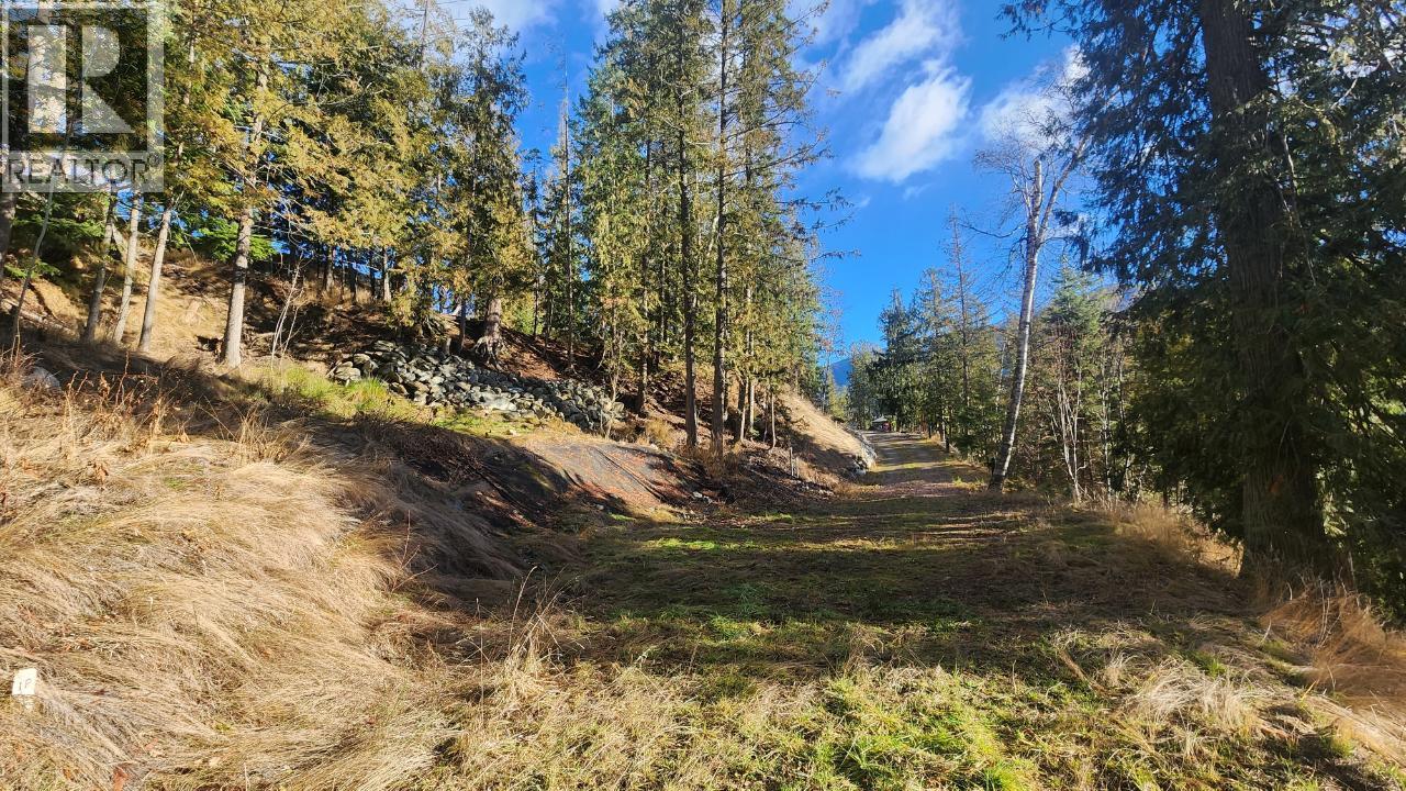 6802 Marian Lane, Nelson, British Columbia  V1L 6S2 - Photo 19 - 10375390