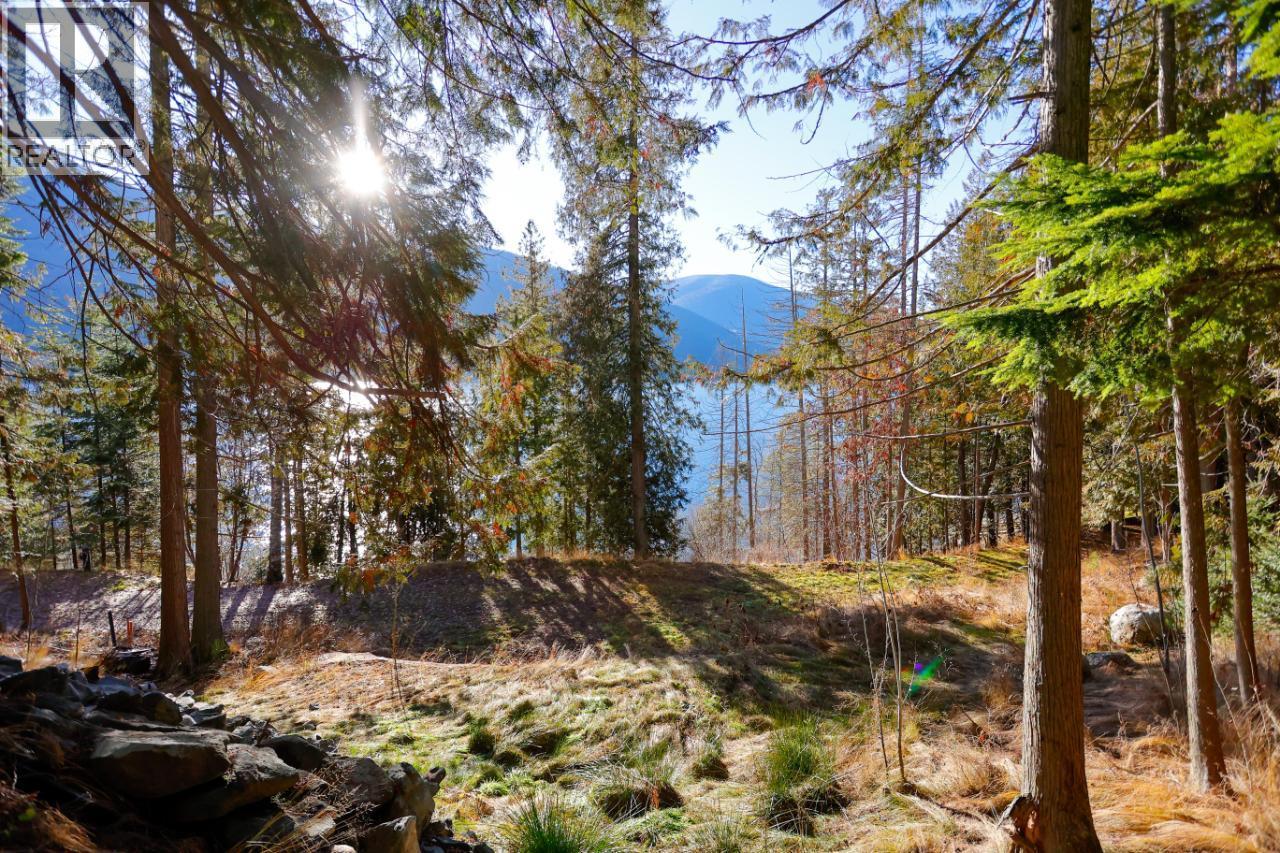 6802 Marian Lane, Nelson, British Columbia  V1L 6S2 - Photo 27 - 10375390