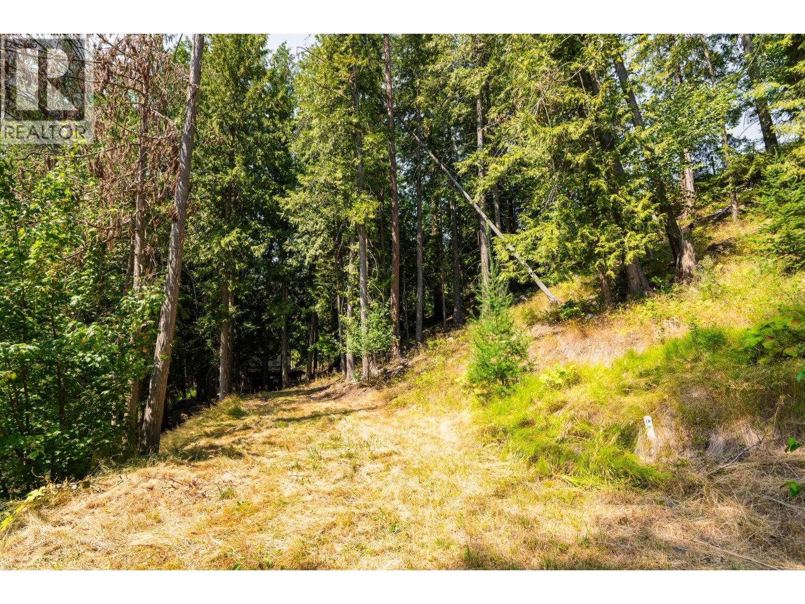 6802 Marian Lane, Nelson, British Columbia  V1L 6S2 - Photo 11 - 10375390
