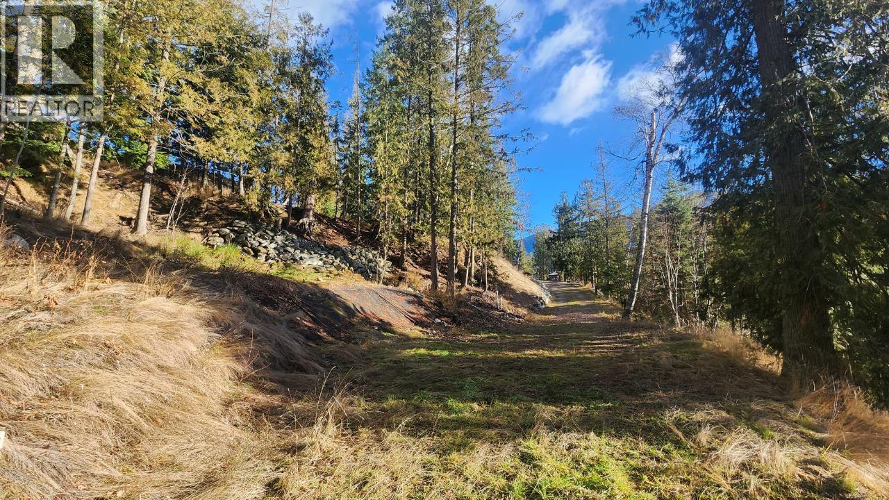 6802 Marian Lane, Nelson, British Columbia  V1L 6S2 - Photo 22 - 10375390