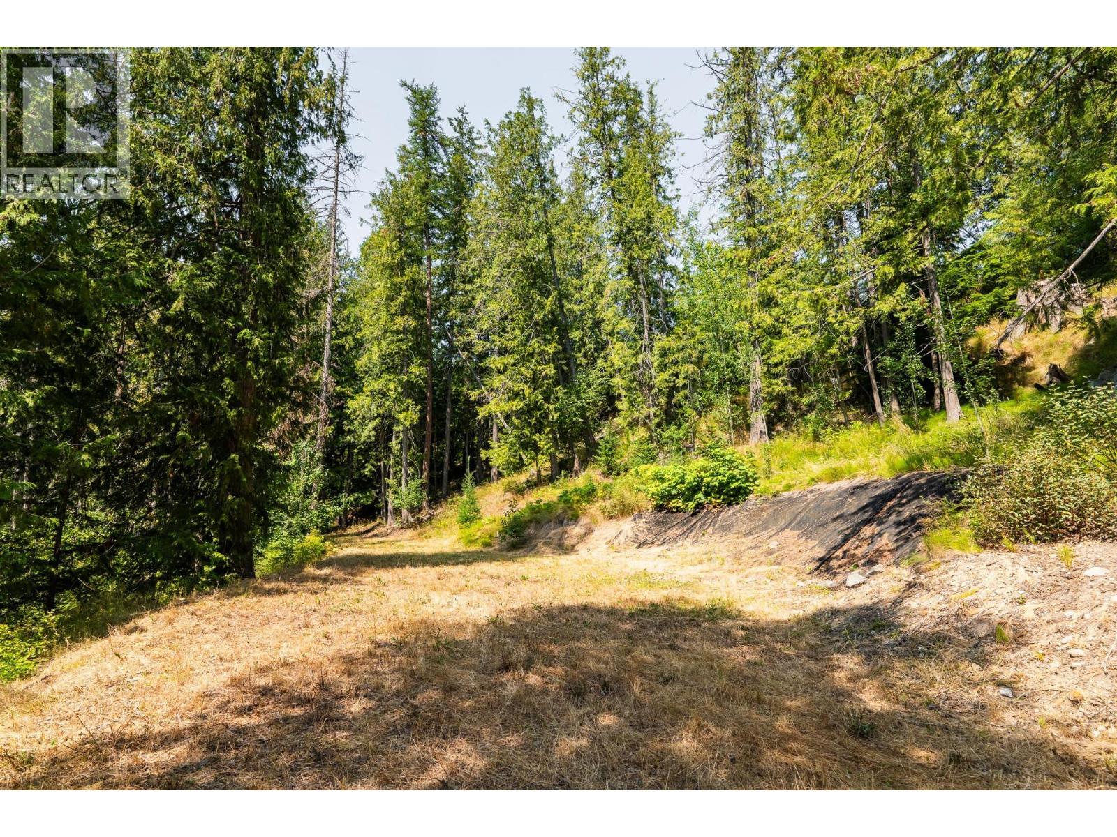 6802 Marian Lane, Nelson, British Columbia  V1L 6S2 - Photo 20 - 10375390
