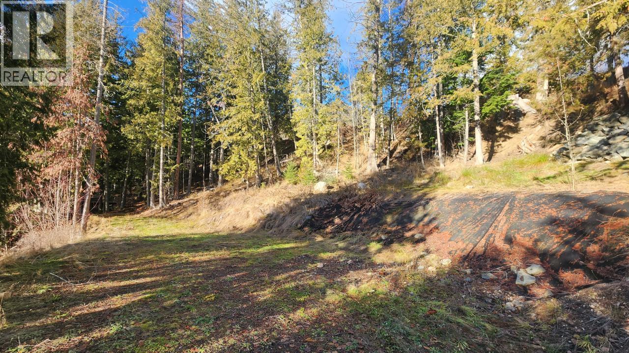 6802 Marian Lane, Nelson, British Columbia  V1L 6S2 - Photo 24 - 10375390