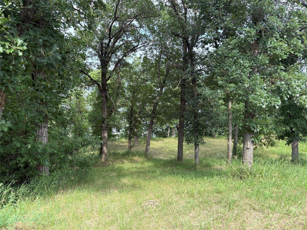 1 Shiels Crescent, Pelican Lake, Manitoba  R0K 1R0 - Photo 5 - 202619152