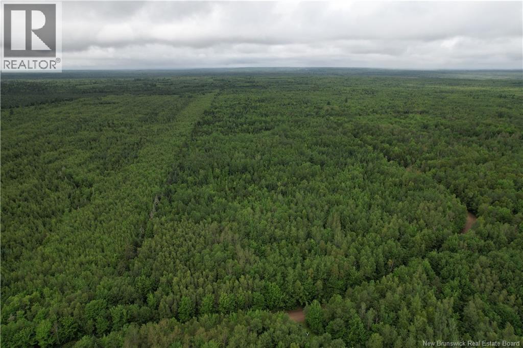 Lot On Rive Road, Dundas, New Brunswick  E4V 2H5 - Photo 4 - NB145105