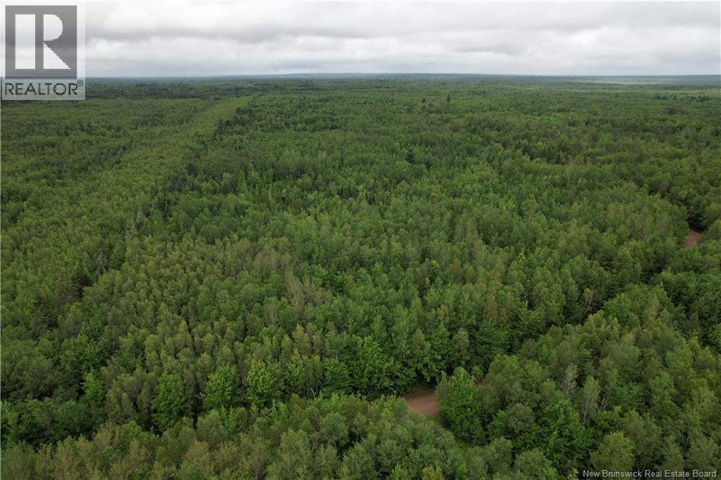 Lot On Rive Road, Dundas, New Brunswick  E4V 2H5 - Photo 5 - NB145105