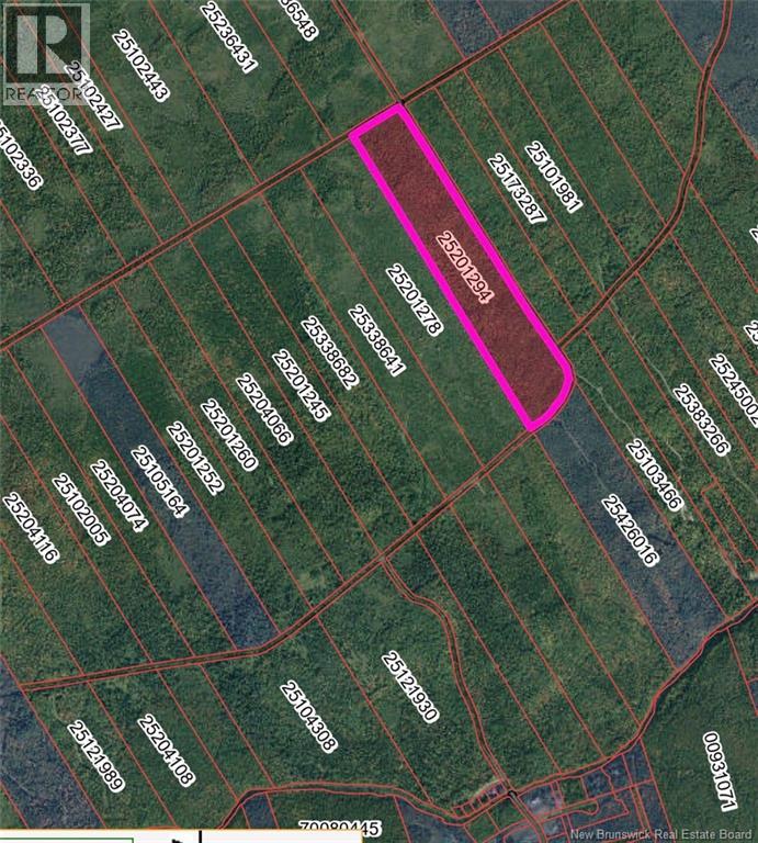 Lot On Rive Road, Dundas, New Brunswick  E4V 2H5 - Photo 1 - NB145105
