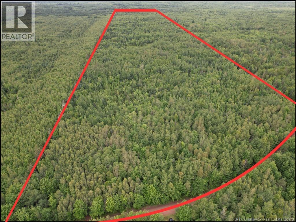 Lot On Rive Road, Dundas, New Brunswick  E4V 2H5 - Photo 2 - NB145105