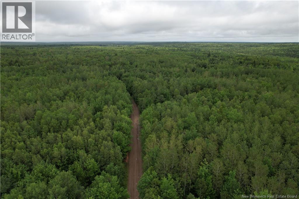 Lot On Rive Road, Dundas, New Brunswick  E4V 2H5 - Photo 3 - NB145105