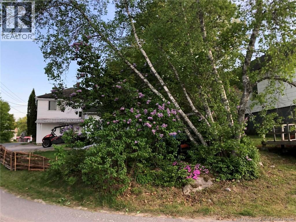 7 Oak Street, Mcadam, New Brunswick  E6J 1M5 - Photo 46 - NB145138