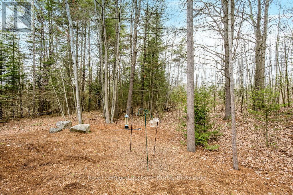 119 Earl Street, Wasaga Beach, Ontario  L9Z 2P5 - Photo 44 - S13628558