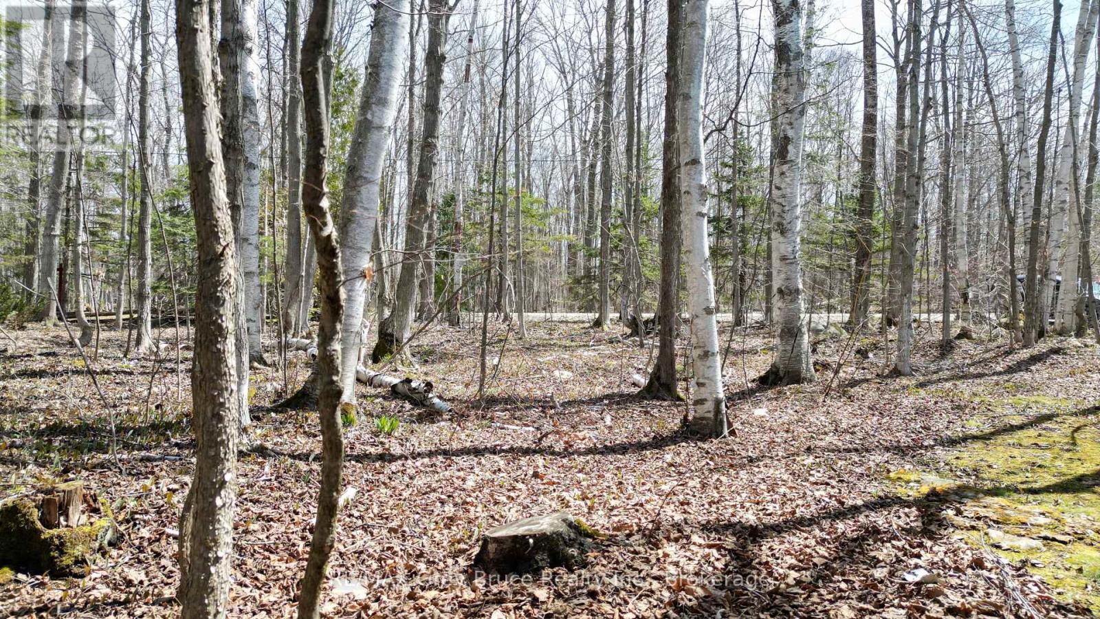 294 Tammy's Cove Road, Northern Bruce Peninsula, Ontario  N0H 1W0 - Photo 36 - X13628602