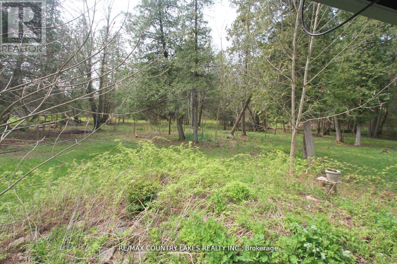 B40440 Shore Road, Brock, Ontario  L0K 1A0 - Photo 34 - N13628552