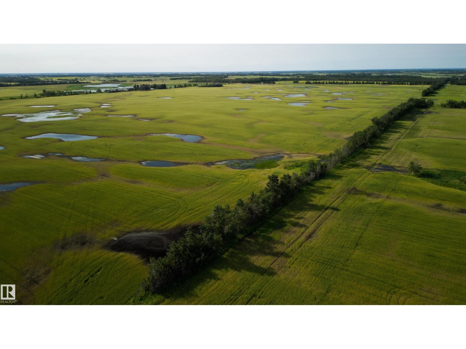 Hwy 29 Rge Rd 183, Rural Lamont County, Alberta  T0B 2R0 - Photo 18 - E4500935