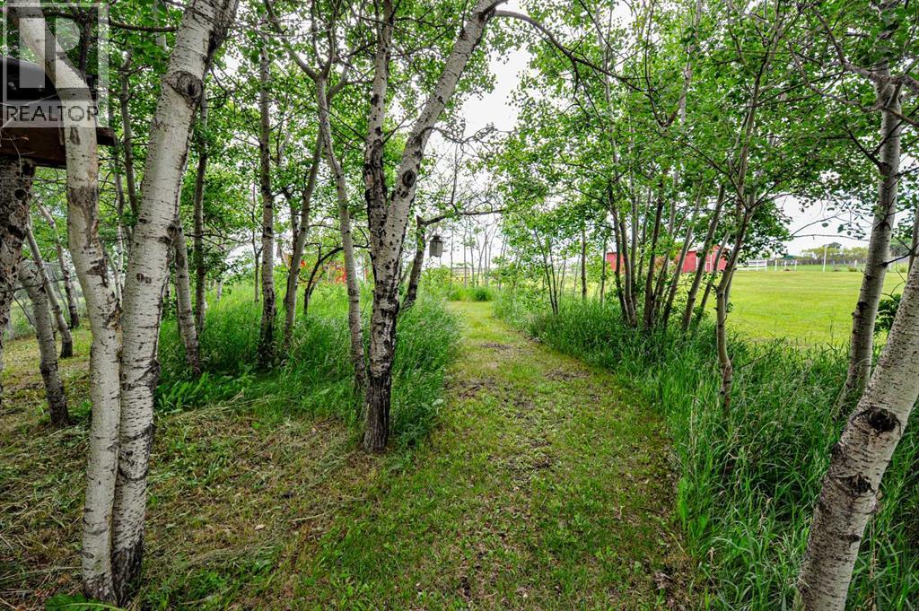 46479 Range Road 183, Rural Camrose County, Alberta  T0B 3P0 - Photo 47 - A2321743