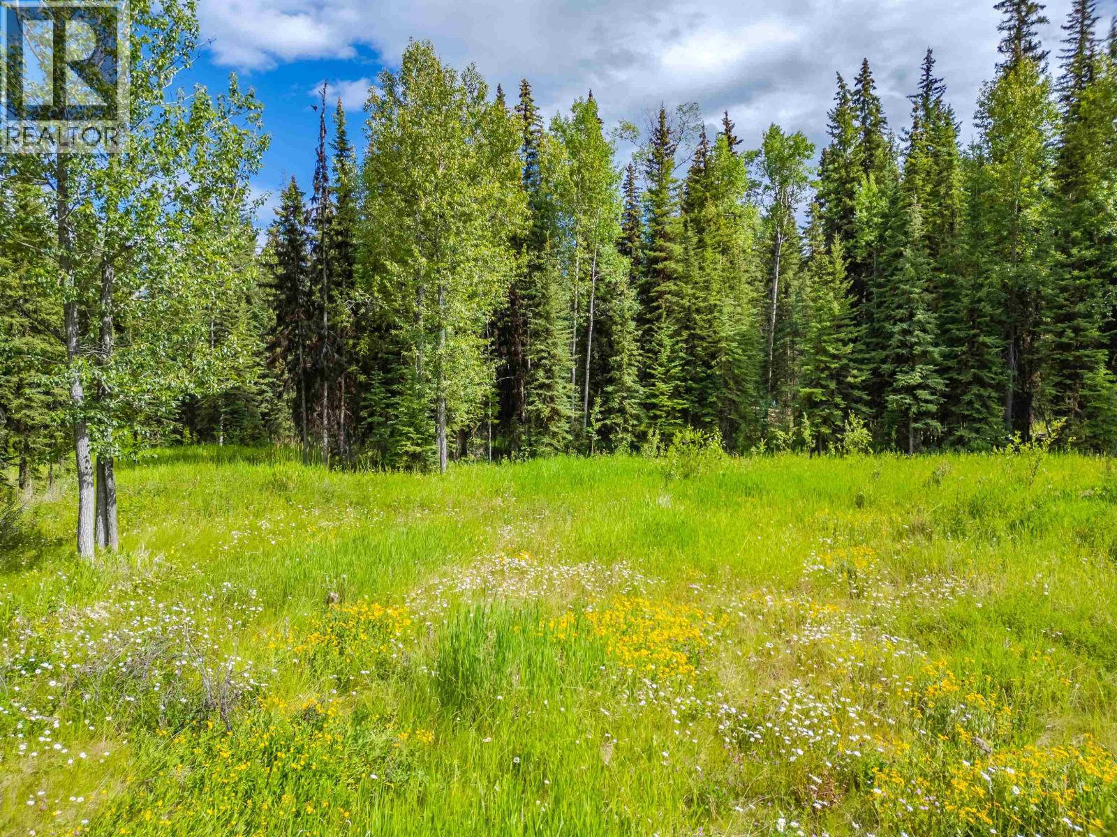 Lot 13 Unicorn Road, 100 Mile House, British Columbia  V0K 2E3 - Photo 10 - R3151814