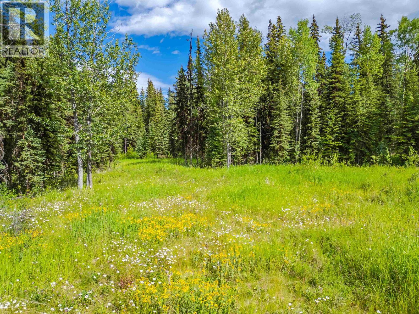 Lot 13 Unicorn Road, 100 Mile House, British Columbia  V0K 2E3 - Photo 16 - R3151814