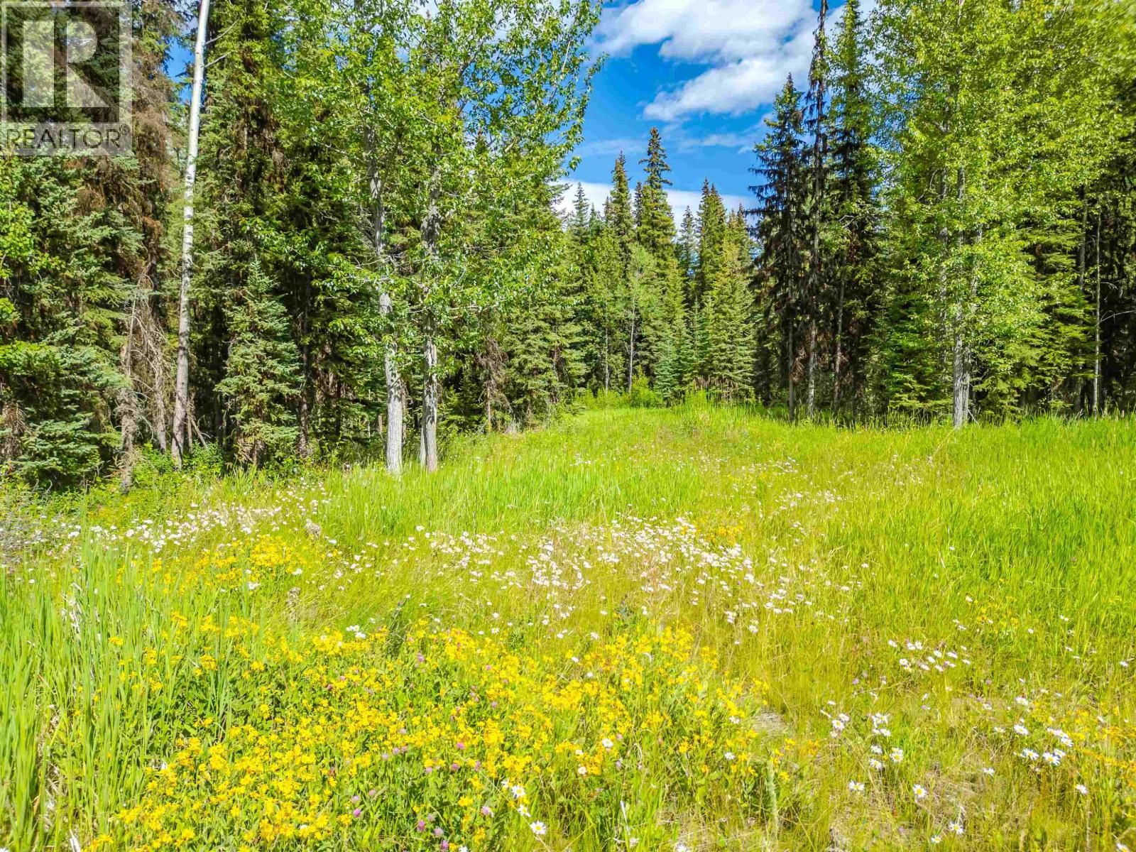 Lot 13 Unicorn Road, 100 Mile House, British Columbia  V0K 2E3 - Photo 19 - R3151814
