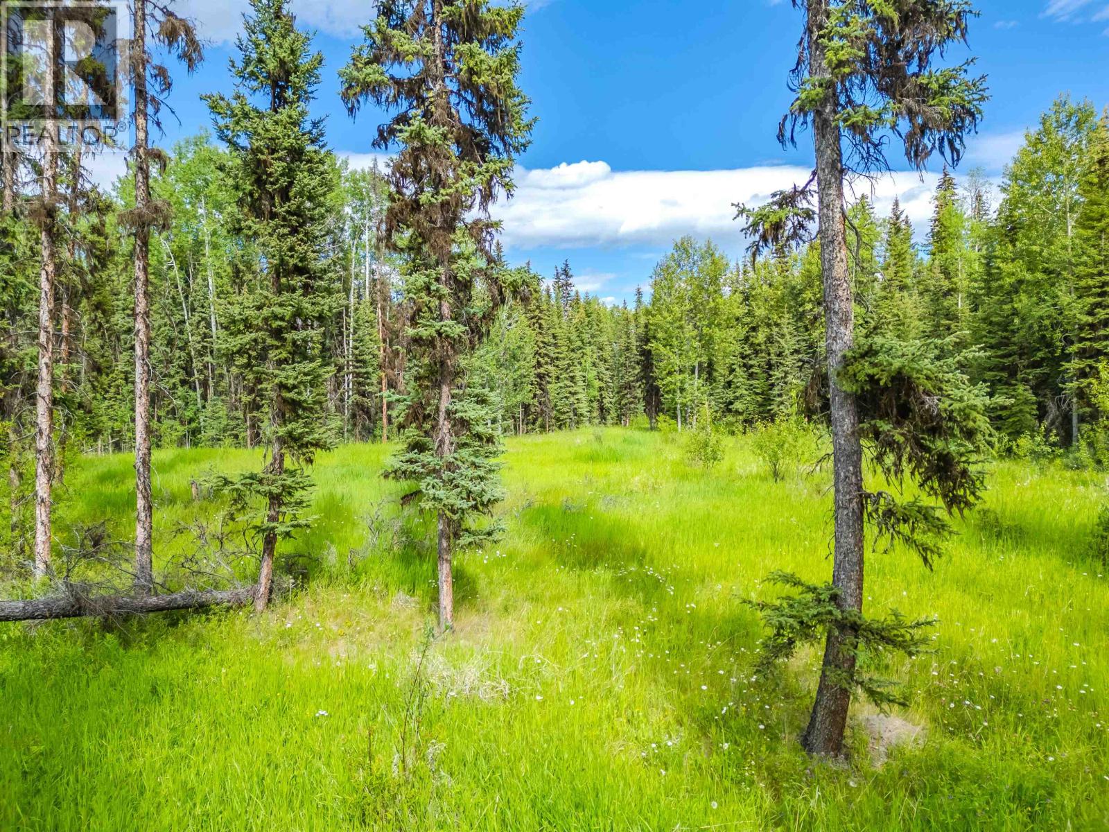 Lot 13 Unicorn Road, 100 Mile House, British Columbia  V0K 2E3 - Photo 8 - R3151814