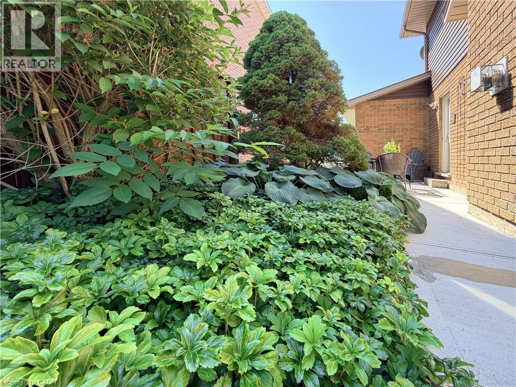 7 Mann Avenue, Simcoe, Ontario  N3Y 5J3 - Photo 45 - 40852488