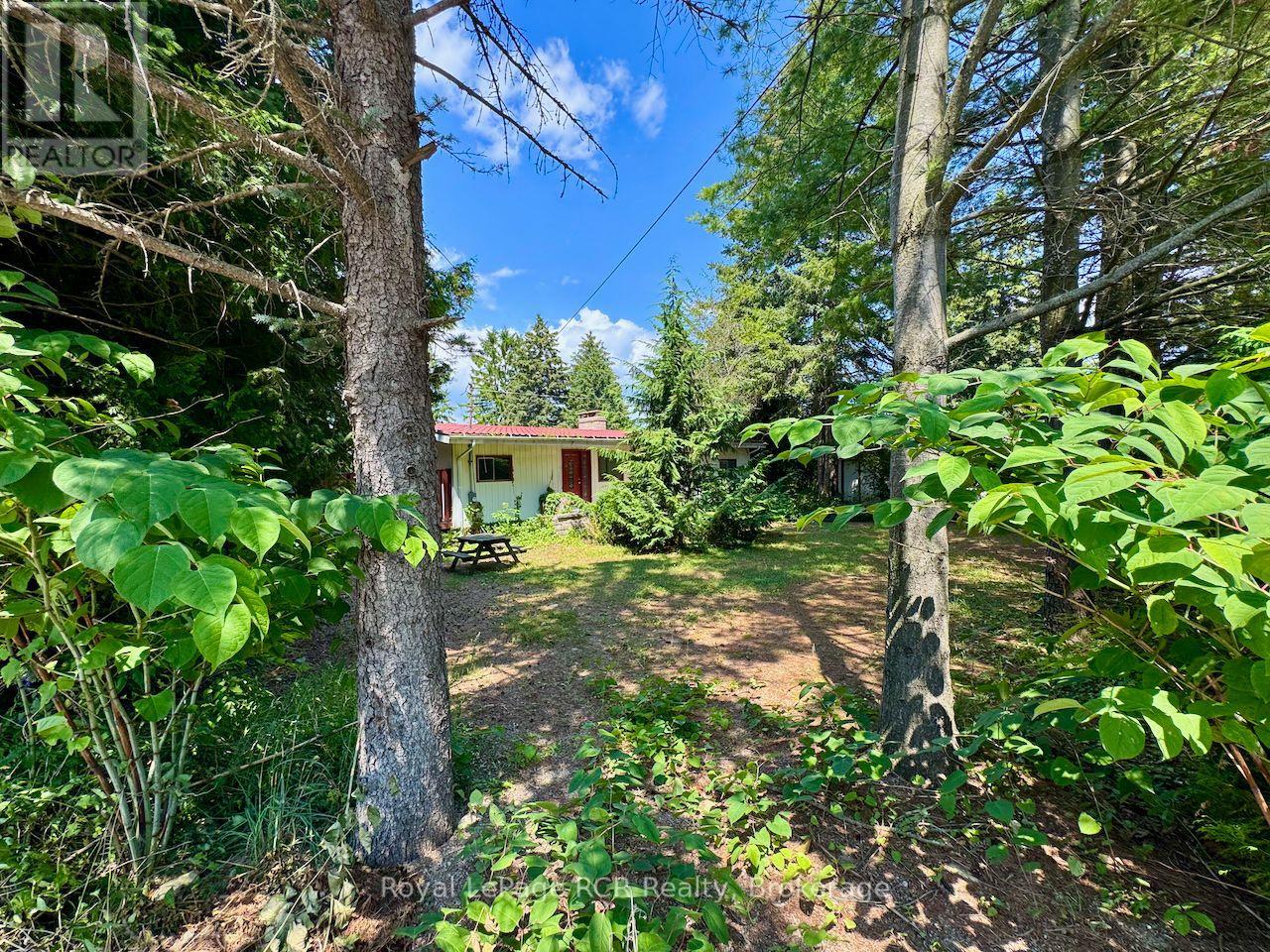 2 William Street, Northern Bruce Peninsula, Ontario  N0H 1W0 - Photo 39 - X13628798