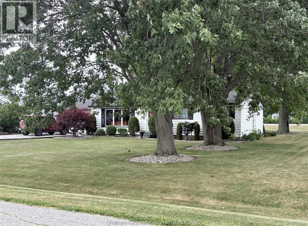 picture 1