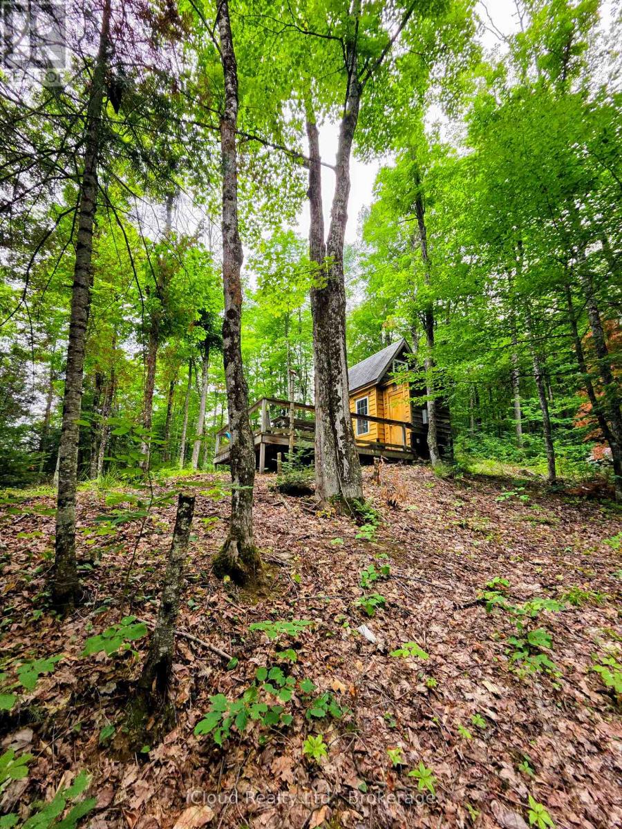 130a Finnegan Lane, Wollaston, Ontario K0L 1P0 - Photo 23 - X13621626