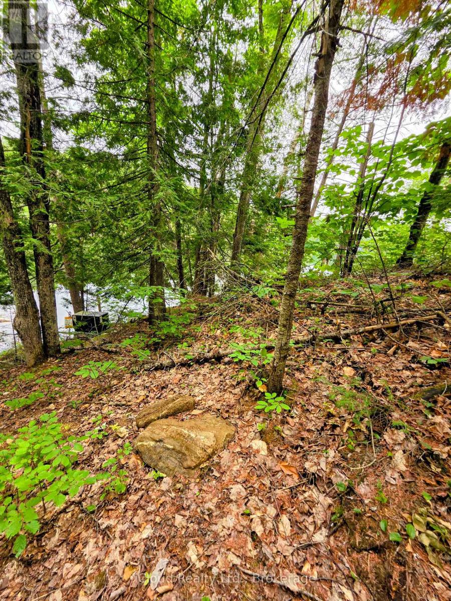 130a Finnegan Lane, Wollaston, Ontario K0L 1P0 - Photo 24 - X13621626