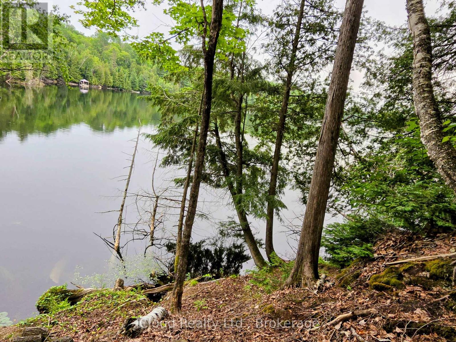 130a Finnegan Lane, Wollaston, Ontario K0L 1P0 - Photo 7 - X13621626