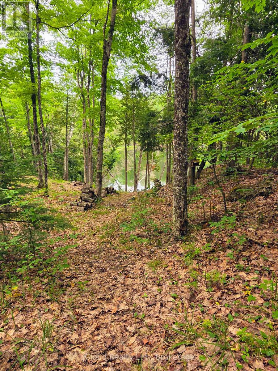 130a Finnegan Lane, Wollaston, Ontario K0L 1P0 - Photo 30 - X13621626