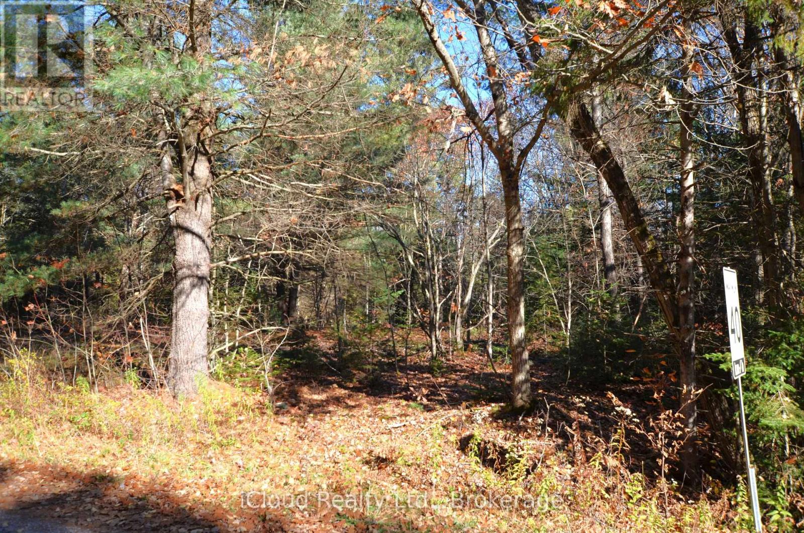 2 And 3 Parker Bay Road, Whitestone, Ontario  P0G 1G0 - Photo 17 - X12913734