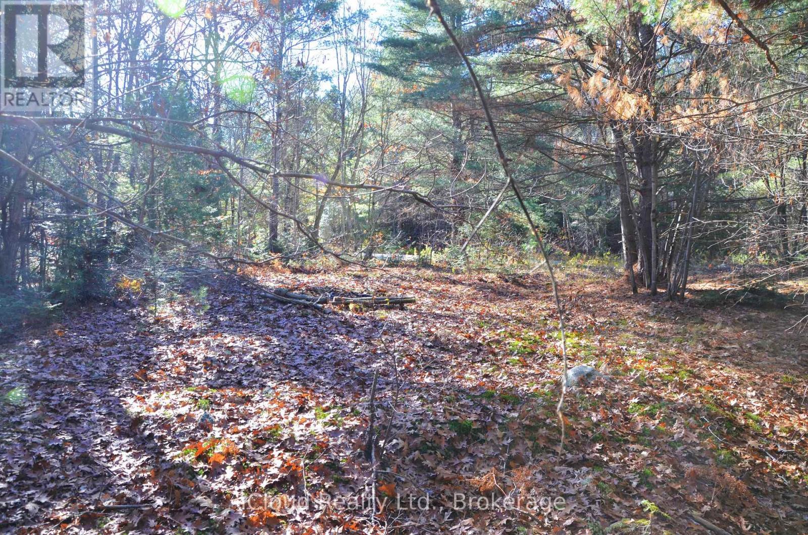 2 And 3 Parker Bay Road, Whitestone, Ontario  P0G 1G0 - Photo 26 - X12913734