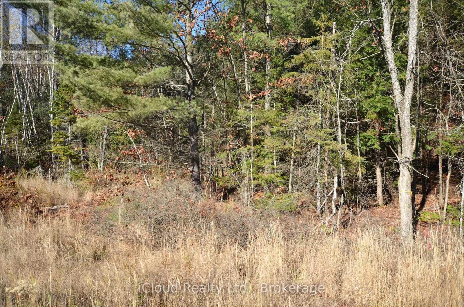 2 And 3 Parker Bay Road, Whitestone, Ontario  P0G 1G0 - Photo 34 - X12913734