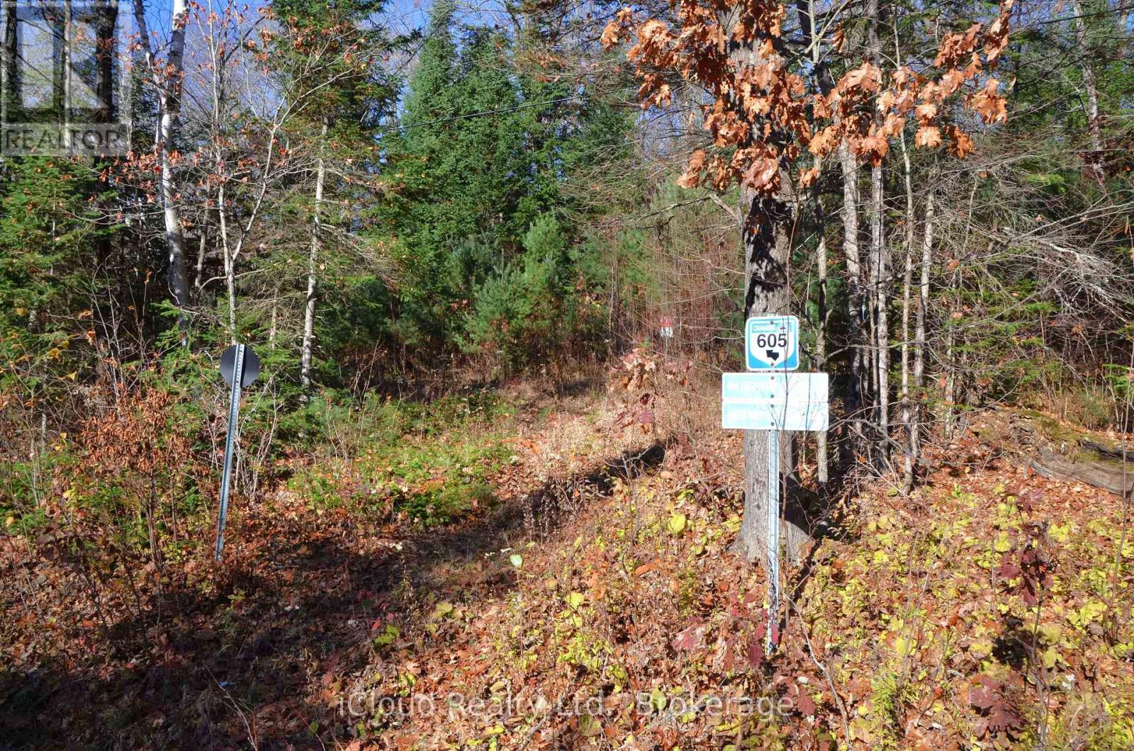 2 And 3 Parker Bay Road, Whitestone, Ontario  P0G 1G0 - Photo 37 - X12913734