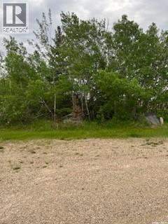 Rm Of Buchanan Acreage, Buchanan Rm No. 304, Saskatchewan  S0A 0L0 - Photo 18 - SK044282