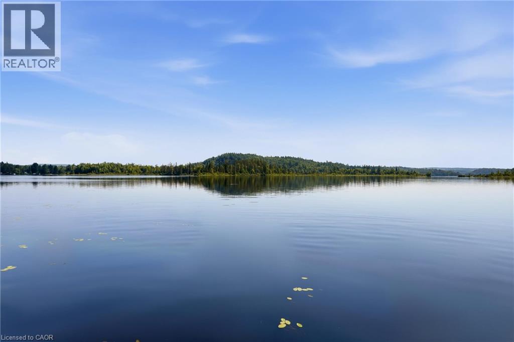 1609 North Baptiste Lake Road, Maynooth, Ontario  K0L 2S0 - Photo 41 - 40847562
